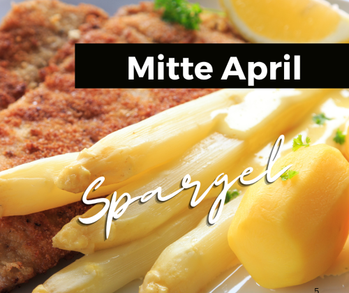 Spargel